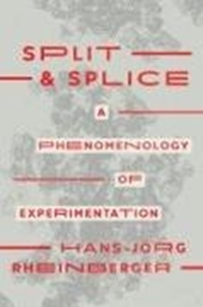 Bild von Rheinberger, Hans-Jörg: Split and Splice