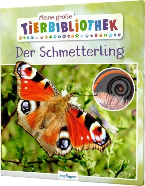 Bild von Tracqui, Valérie: Meine große Tierbibliothek: Der Schmetterling