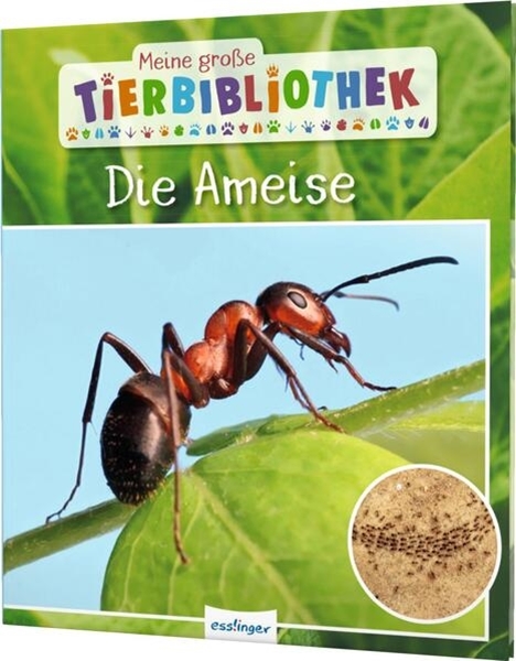 Bild von Gutjahr, Axel: Meine große Tierbibliothek: Die Ameise