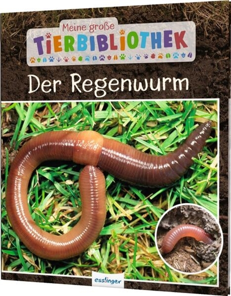 Bild von Tracqui, Valérie: Meine große Tierbibliothek: Der Regenwurm