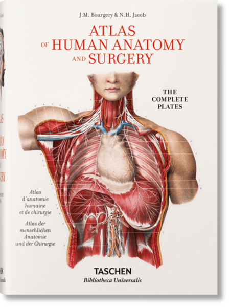 Bild von Sick, Henri: Bourgery. Atlas of Human Anatomy and Surgery