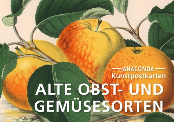 Bild von Anaconda Verlag (Hrsg.): Postkarten-Set Alte Obst- und Gemüsesorten