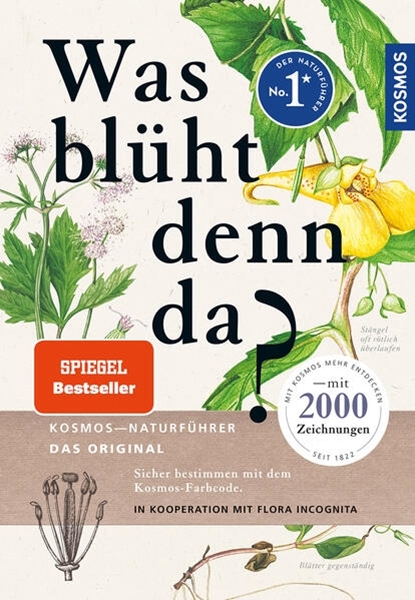 Bild von Spohn, Margot: Was blüht denn da - Original