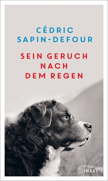 Bild von Sapin-Defour, Cédric: Sein Geruch nach dem Regen