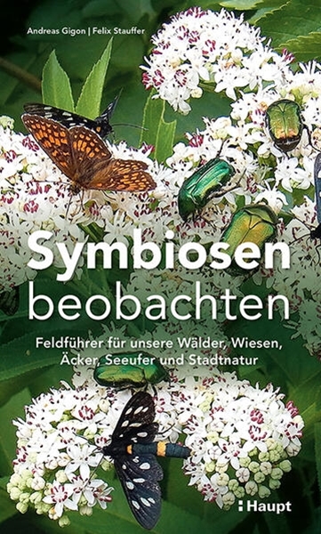 Bild von Gigon, Andreas: Symbiosen beobachten