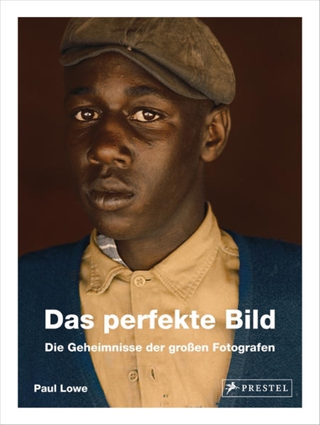 Bild von Lowe, Paul: Das perfekte Bild
