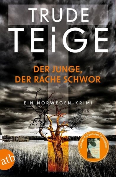 Bild von Teige, Trude: Der Junge, der Rache schwor