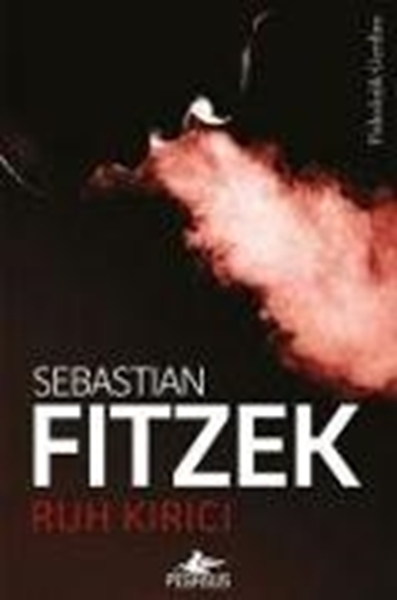 Bild von Fitzek, Sebastian: Ruh Kirici