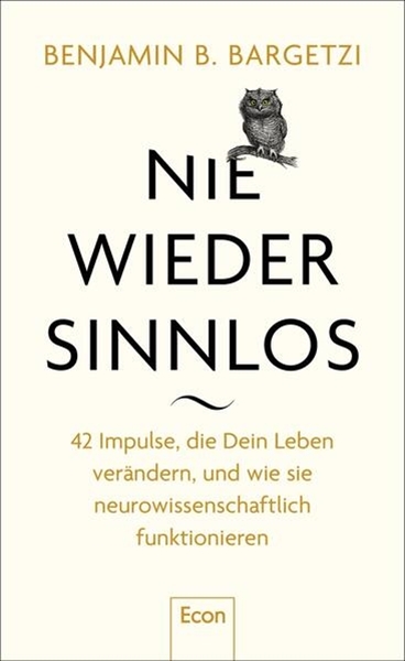 Bild von Bargetzi, Benjamin B.: Nie wieder sinnlos