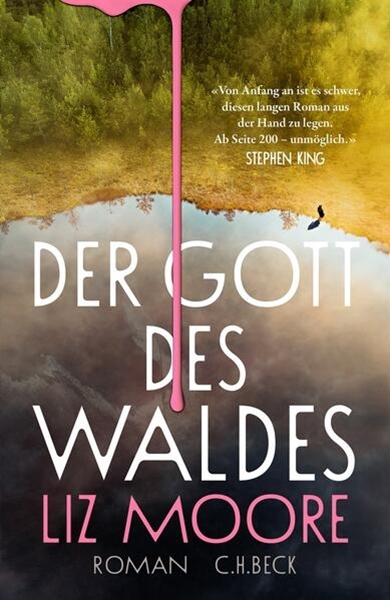 Bild von Moore, Liz: Der Gott des Waldes