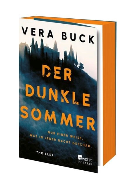 Bild von Buck, Vera: Der dunkle Sommer