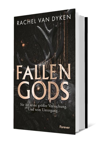 Bild von van Dyken, Rachel: Fallen Gods (Fallen Gods 1)