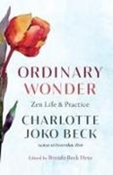 Bild von Joko Beck, Charlotte: Ordinary Wonder