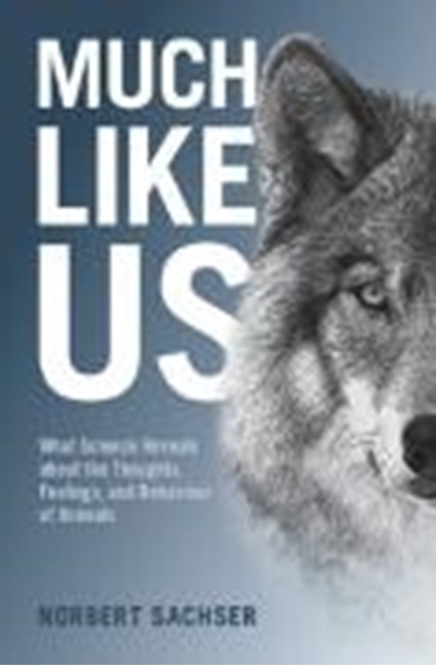 Bild von Sachser Norbert: Much Like Us