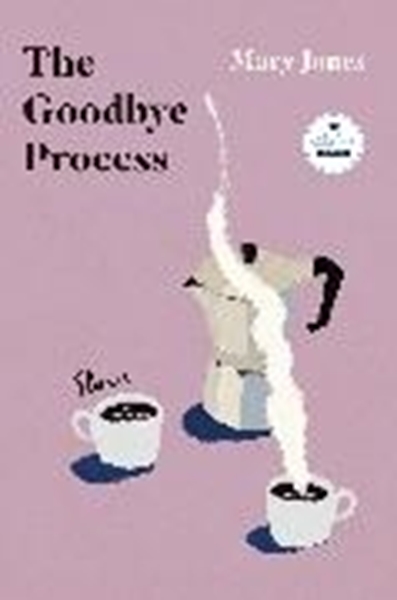 Bild von Jones, Mary: The Goodbye Process