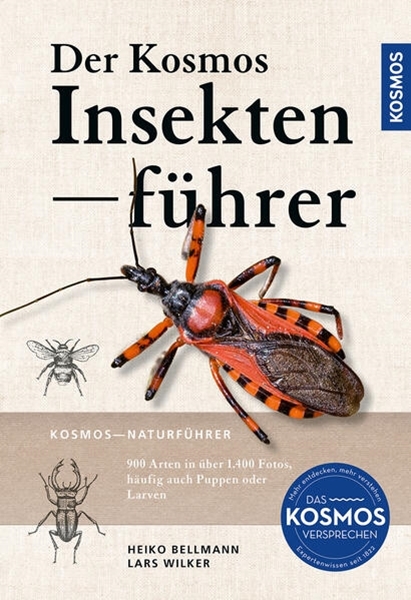 Bild von Bellmann, Heiko: Der KOSMOS Insektenführer
